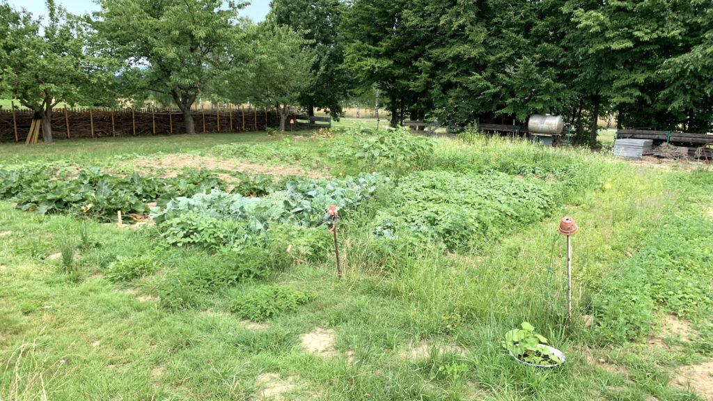 Henne Garten