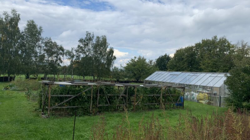 in der Langen Henne